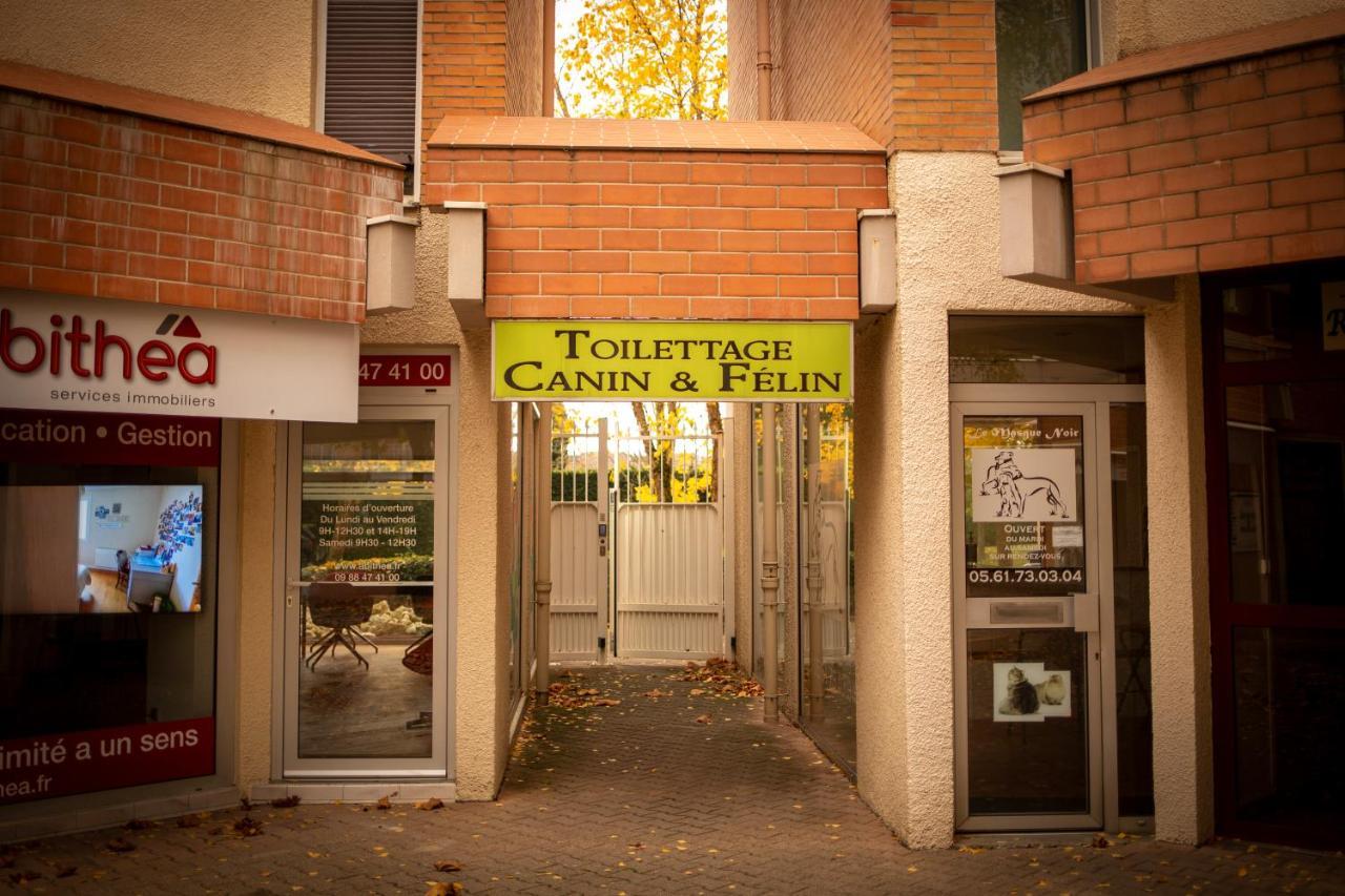 Charmant Studio☆Netflix☆Canal+☆Canal Sat☆Parking☆ Ramonville-Saint-Agne Exteriér fotografie
